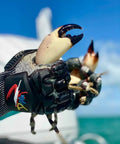 Lobster Diving Gloves With Kevlar Puncture Protection For Spearfishing And Ocean Adventures, True Cut Resistant Gear With Rubber Armored Knuckle Guard, Large Size gripping crab claws.