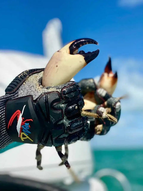 Lobster Diving Gloves With Kevlar Puncture Protection For Spearfishing And Ocean Adventures, True Cut Resistant Gear With Rubber Armored Knuckle Guard, Large Size gripping crab claws.
