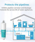Illustration of No Fuss Whole House Scale Inhibitor Filter Cartridge with house diagram showing scale protection