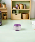4 Rolls PTFE Thread Seal Tape for Water Pipes and Plastic Lines, Waterproof and Leak Resistant Plumber Tape for Quick Home Repairs and Professional Work, Universal Fit for Pipe Threads and Fittings, purple roll on shelf
