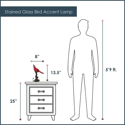 Diagram of Stained Glass Bird Accent Lamp With Tiffany Style Vibe, Blue Jay Design, 8 Inch Wide By 13.5 Inch High next to furniture.
