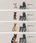 Elevated Dog Water Dispenser Stand And Adjustable Pet Feeder Holder Designed For Large Breeds with height measurements next to dogs.