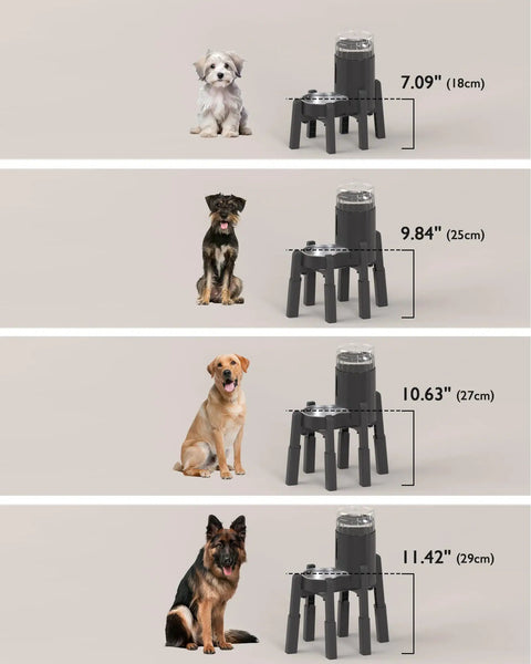 Elevated Dog Water Dispenser Stand And Adjustable Pet Feeder Holder Designed For Large Breeds with height measurements next to dogs.