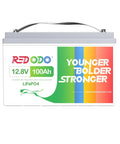 Rugged Road Ready 12V 100Ah LiFePO4 Lithium Battery Group 31 Deep Cycle 1280Wh Pack front view with colorful design.