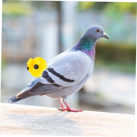 Pigeon sitting with Portable Pigeon Training Whistles 2 Pack Lightweight Four Tone Bird Call Set for communication and training.