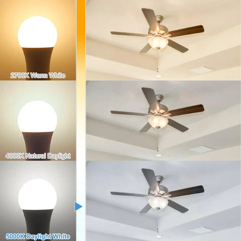 Comparison of 2700K, 4000K, and Ultra Bright 5000K Daylight GU24 LED Bulbs 9W 60W Equivalent in ceiling fan fixtures.