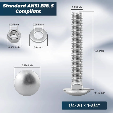 Essential 1/4 20 X 1 3/4 Inch Carriage Bolt Kit components showing stainless steel bolt, hex nut, washer, and round head.