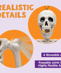 Two Pack 24 Inch Full Body Poseable Skeletons With Locking Joints For Halloween Indoor Outdoor Decor, close-up of jaw and joints