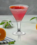 Martini Glasses Set 24 Pack 7 Oz BPA Free Plastic Cocktail Cups For Outdoor Parties Weddings Picnics Stackable Stemmed Reusable