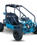 Kids 125cc Go Kart Raptor Style Fully Automatic With Reverse Blue Mid Size 4 Stroke Power Headlights Taillights Easy Start Go Kart For Young Riders Fun