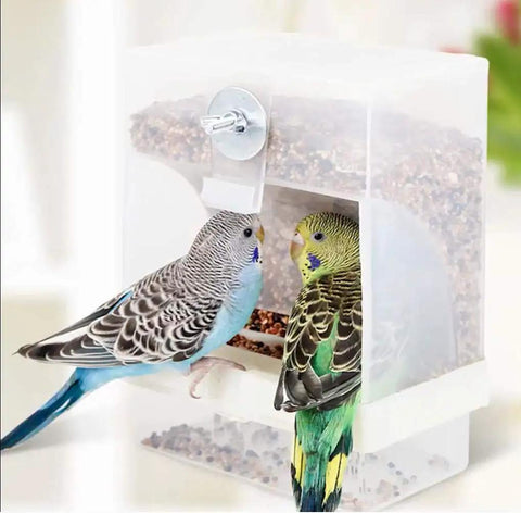 Zero Mess Parrot Automatic Feeder For Budgerigars And Canaries With Screw Fixed Cage Mount Plus High Capacity Seed Dispenser And Built In Perch, showing two budgerigars using the feeder.