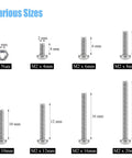 310 Piece Stainless Steel 304 Phillips Pan Head Bolts Screws Nuts Kit With M2x4mm to M2x20mm sizes displayed.