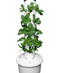 Self Watering Hydroponic Tower For Home Gardens, Vertical Planter System Kit With 24 Net Pots, Food Grade Construction in use