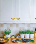 Kick Up Your Home Game With These Sparkling Rhinestone Bee Cabinet Knobs Durable Zinc Alloy Six Piece Furniture Drawer Pulls For Kitchen Bedroom Closet Setup That Truly Look So Fresh on white kitchen cabinets with bee motifs.