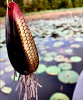 Moss Boss Frog Lure Bullfrog 3 Inch 3 Eighth Ounce For Big Bass And Trophy Predators glides over lily pads in a pond.