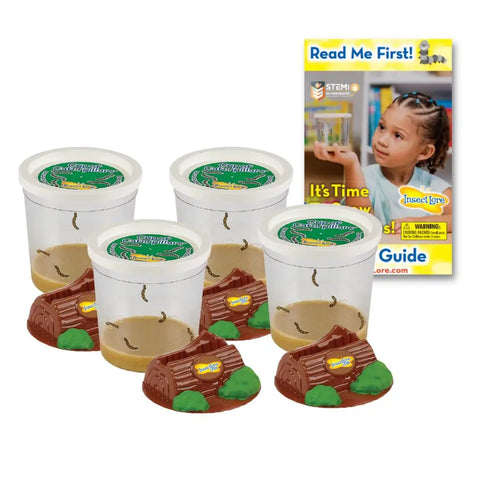 Four Cups Of Caterpillars Kit With Twenty Painted Lady Caterpillars And Food Includes Chrysalis Lid Holding Log Butterfly Garden Habitat