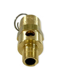 Brass 1/8 NPT industrial hard-seat safety pressure relief valve, front view with threaded outlet, USA-made
