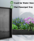 1020 Flat Seed Starter Trays 10 Pack BPA Free Plastic Nursery Pots for Seedlings No Drainage Holes with plants.