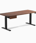 Straight Up Solid Hardwood Ergonomic Standing Desk With Sleek Dual Drawers For Chill Work From Home Setup And Premium Walnut Gray Finish.
