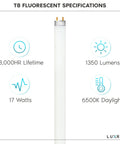 24 Inch T8 Fluorescent Tube Light Bulb 17W 6500K Daylight 1350 Lumens G13 Base Bi Pin 4 Pack Energy Saving Long Lifespan Specs