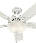Beachcomber 52 Inch White Indoor Outdoor Ceiling Fan With LED Light Kit, Whisper Wind Quiet Motor, swirled marble glass light
