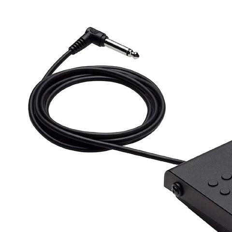 Sturdy Sustain Pedal For Digital Pianos With 1.5M Cable And 6.35mm Plug, Feels Like A Real Acoustic Pedal, Enriches Tone, Lightweight Portable
