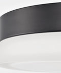 Close-up of Dope LED Flush Mount Ceiling Light 11 Inch Brushed Nickel Pi Collection with etched glass edge.