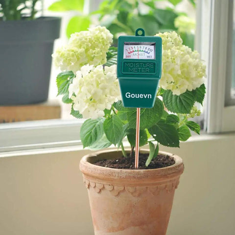 Two Pack Soil Moisture Meter Hygrometer For Indoor And Outdoor Plants, No Batteries Required in potted hydrangea plant