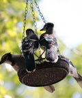 Large Capacity Hanging Bird Feeder For Garden And Yard Outdoors With Metal Mesh Platform And Fine Mesh Tray Holds Up To 3 Lb Of Seeds Easy Refill No Mess Attracts More Birds And Keeps Feeding Fresh with birds feeding.