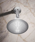 Forte Single Function Shower Head With 5.5 Inch Sprayface And Beastly Powerful Spray 1.75 GPM Vibrant Polished Brass Finish