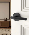 One Pack Keyless Passage Door Handle Lever For Indoor Use Heavy Duty Black Interior Door Hardware installed on white door