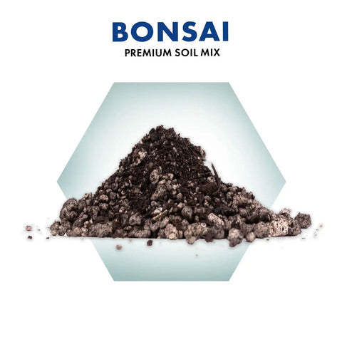 Pro Grade Bonsai Soil Mix For Thriving Indoor Bonsai Trees With Superior Drainage And Aeration Perfect Potting Soil For All Bonsai Varieties Organic Blend For Optimal Growth Indoor Plant Soil 4 Quarts
