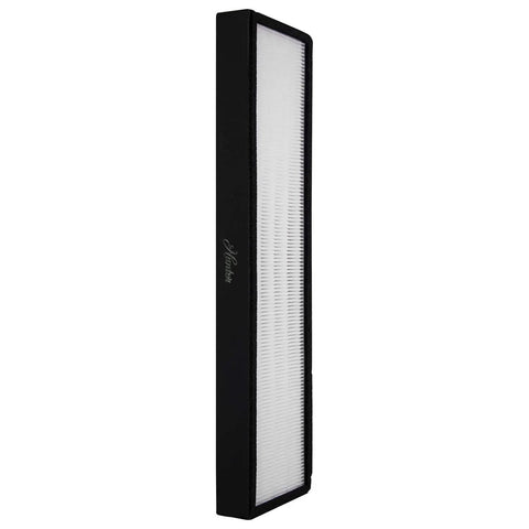 True HEPA Replacement Filter For HT1701 And 30100 Home And Office Air Purifiers F1701HE, showcasing black frame and pleated design