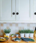 18 Pack 1-1/5 Inch Matte Black Round Cabinet Knobs Zinc Alloy Heavy Duty Pulls installed on white kitchen cabinets