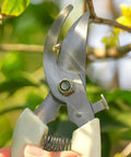 Close-up of garden shears cutting a branch, part of Four Pack Garden Shears Set With Stainless Steel Blades, Durable Pruning Shears.