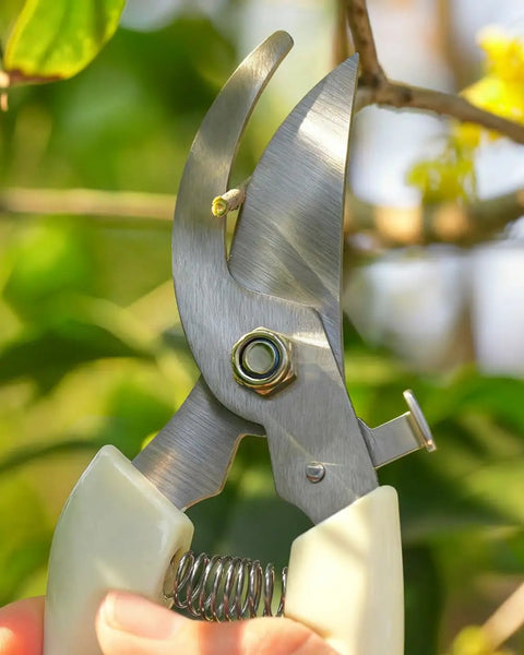 Close-up of garden shears cutting a branch, part of Four Pack Garden Shears Set With Stainless Steel Blades, Durable Pruning Shears.