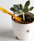 Yellow 2 Piece Reusable Plastic Seedling Uprooter And Seedling Mover Puncher Garden Tools Set For Easy Home Gardening Lightweight Durable Beginner Friendly Eco Friendly Plant Care Kit used in a potted succulent