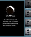 Dimmable T10 Edison LED Tubular Bulb 4000K Daylight White Dope Vintage Filament Light 60W showing dimming range and brightness levels