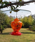 Large 13 Inch Glass Rain Cover For Outdoor Bird Feeder, Two Way Hanging Or Shepherd Pole Mount, Weatherproof Clear Dome Shield