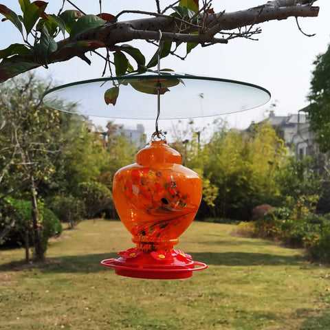 Large 13 Inch Glass Rain Cover For Outdoor Bird Feeder, Two Way Hanging Or Shepherd Pole Mount, Weatherproof Clear Dome Shield