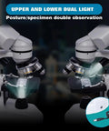 High Power Compound Microscope For Adults Home Lab And School Use With Infinity Optical System showing dual light feature