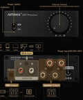 Front and rear view of TPA3255 Class D Stereo Amplifier 300W Per Channel X2 with NE5532 Pre-Out and various input connections.