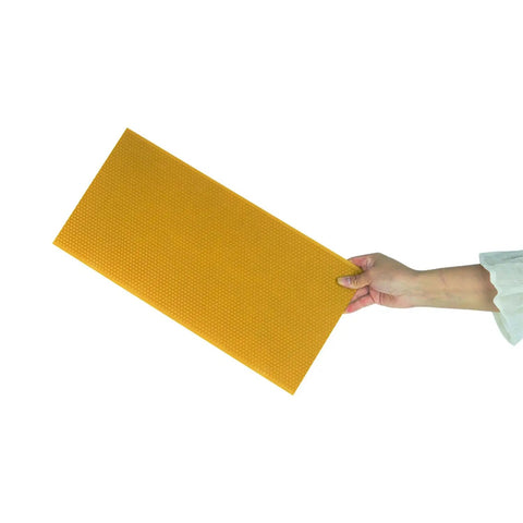 Person holding Beekeeping Essentials Waxed Foundation Sheets 8.5 Inch Deep, beeswax coated plastic sheet for beehive frames