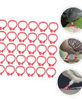 Pigeon Foot Ring Set 200 Pcs Plastic Leg Bands 10mm Clip Identification Rings for Poultry and Birds Supplies, Durable, Easy to Clip