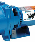 Real Heavy Duty 1.5 Hp Self Priming Centrifugal Water Pump Single Phase Electric Irrigation Rig Blue Coated Housing side view