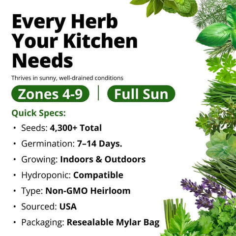 15 All In One Herb Seed Pack For Indoor Outdoor And Hydroponic Gardens With Over 4,300 Seeds Non GMO Heirloom Culinary Herbs