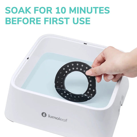 Hand placing Replacement Coconut Activated Charcoal Filters For No Spill Dog Water Bowls 70oz/2L And 135oz/4L in bowl