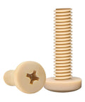Heavy Duty PEEK Phillips Pan Head Machine Screws M1.4x6mm shown in close-up, highlighting the non-conductive polymer material.
