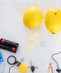 Fruit battery setup with lemons, wires, Copper And Zinc Electrode Strips 20 Pcs DIY Science Kit For Classrooms And Labs, electronics tools