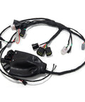 Full Plug In Ready Main Wiring Harness Assembly For Sur Ron Light Bee X Segway X160 X260 79 Bike Falcon M E Ride Pro SS Replacement Copper PVC Wire Harness Kit For Easy Accurate Vehicle Wiring, black wiring with connectors